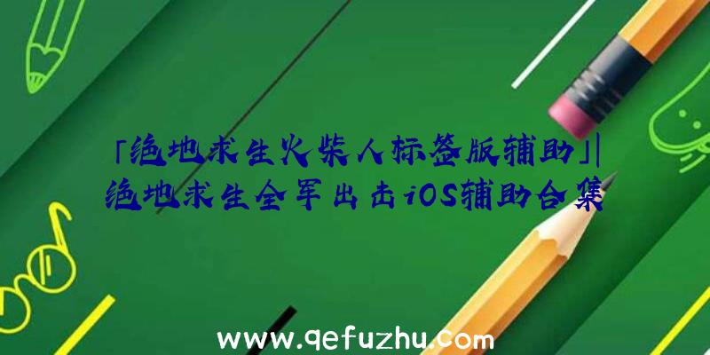 「绝地求生火柴人标签版辅助」|绝地求生全军出击iOS辅助合集